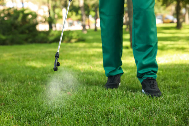 Best Cockroach Control Services  in Henryville, IN