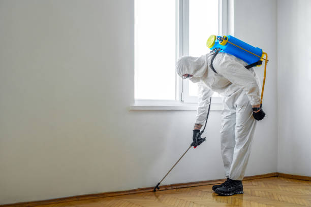 Best Flea Control Services  in Henryville, IN
