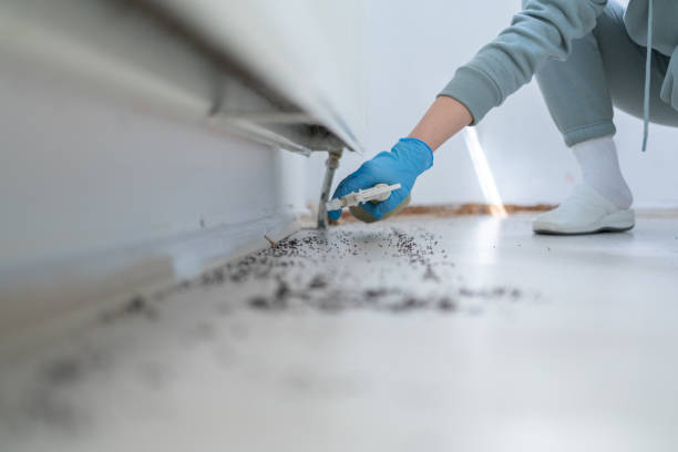 Best Pest Control Near Me in Henryville, IN